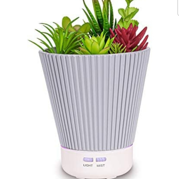 Succulent Diffuser and essential oil set - Picture 2 of 11